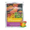 paket benih bunga marigold