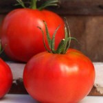 10 Manfaat Tomat